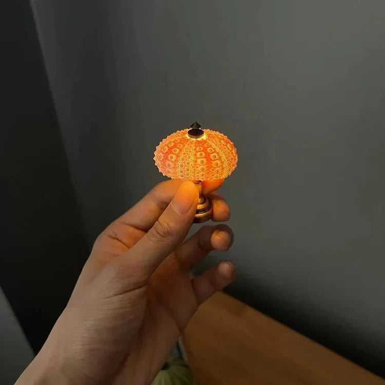  DIY zee-egel nachtlampje-4