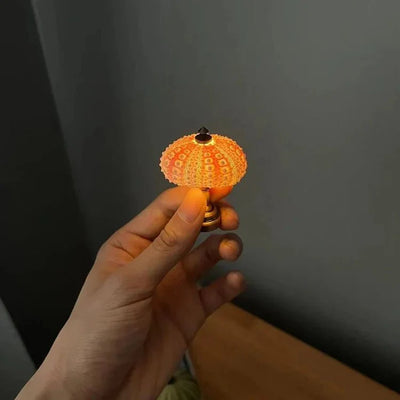  DIY zee-egel nachtlampje-4