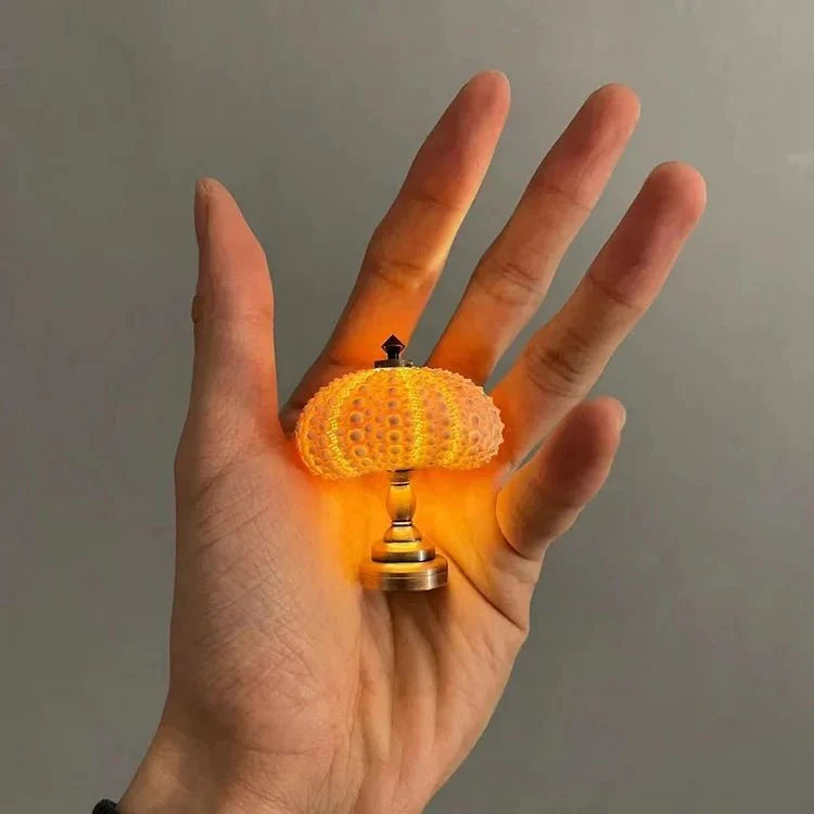  DIY zee-egel nachtlampje-3