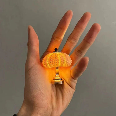  DIY zee-egel nachtlampje-3