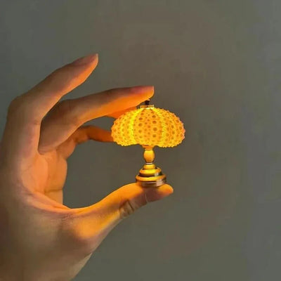  DIY zee-egel nachtlampje-1