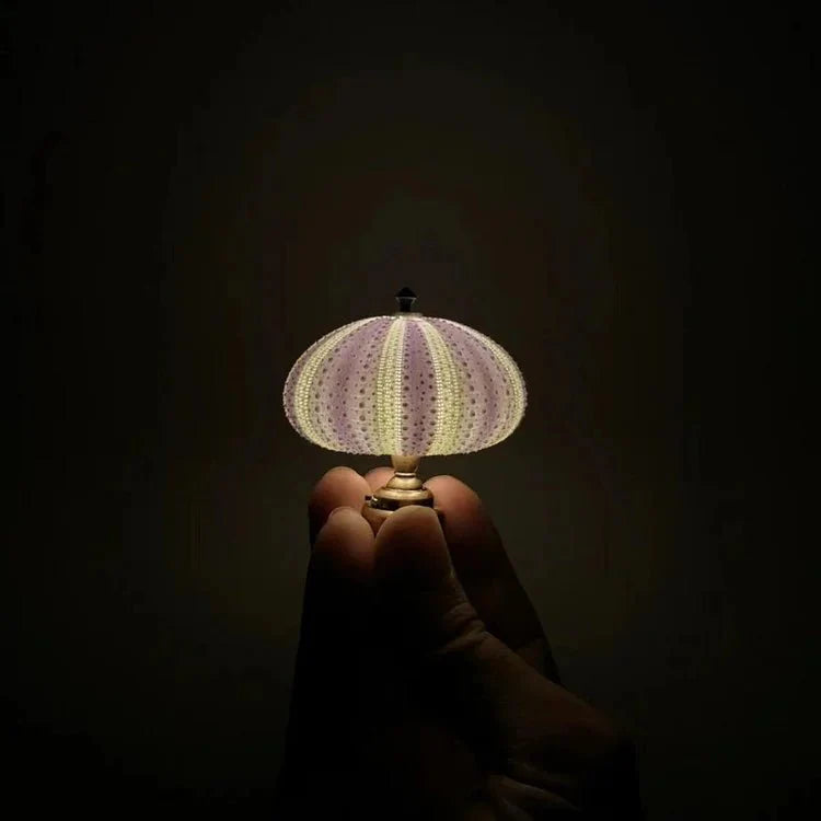  DIY zee-egel nachtlampje-6