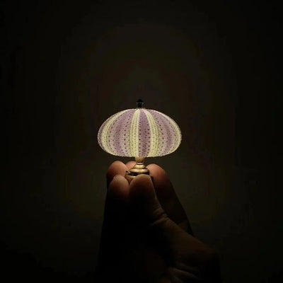  DIY zee-egel nachtlampje-6